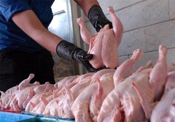 صادرات مرغ ممنوع می گردد