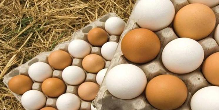 مصرف تخم مرغ تضمین داشتن استخوان های سالم تر