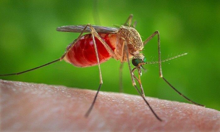 چالش مالاریا در بعضی مناطق ایران وجود دارد