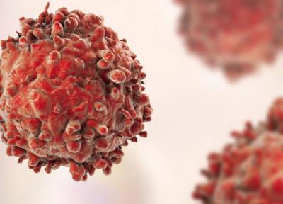 فولیکول های مو سلولهای سرطانی پوست را مهار می کنند