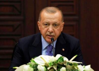 اردوغان: ترکیه از تمامیت ارضی سوریه حمایت می کند!