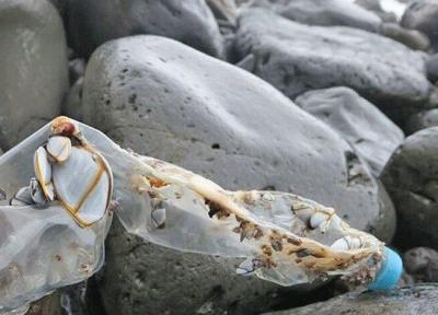 جزیره ای که وسعت آلودگی پلاستیکی در دریاها را نشان می دهد