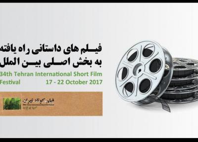 معرفی آثار راه یافته به بخش اصلی بین الملل جشنواره فیلم کوتاه