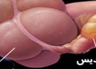 هشدار: شایع ترین جراحی بچه ها غیرضروری است