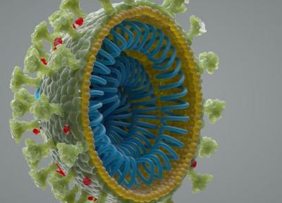 آیا ویروس کرونا در آزمایشگاه مهندسی شده است؟