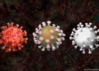 آیا کرونا برای همواره همراه انسان ها خواهد ماند؟، خطر ابتلای مجدد بهبودیافتگان به ویروس کووید-19 جقدر است؟