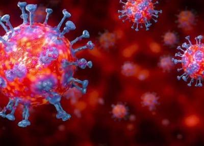 ویروس کرونا در دمای 70 درجه پنج دقیقه زنده می ماند