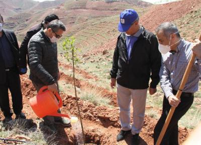 خبرنگاران توسعه 5 هکتاری فضای سبز تفرجگاه عینالی تبریز شروع شد