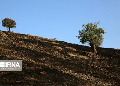 خبرنگاران آتش سوزی تنگ قیر چرداول مهار شد