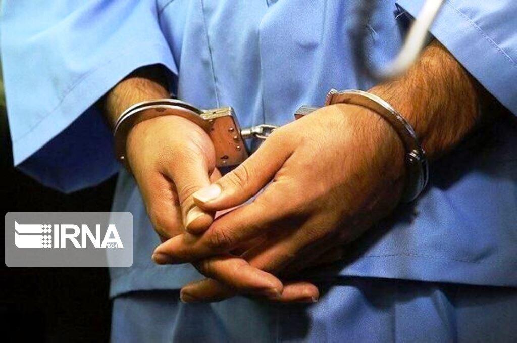 خبرنگاران 10 دزد در شهرستان دشتستان دستگیر شد