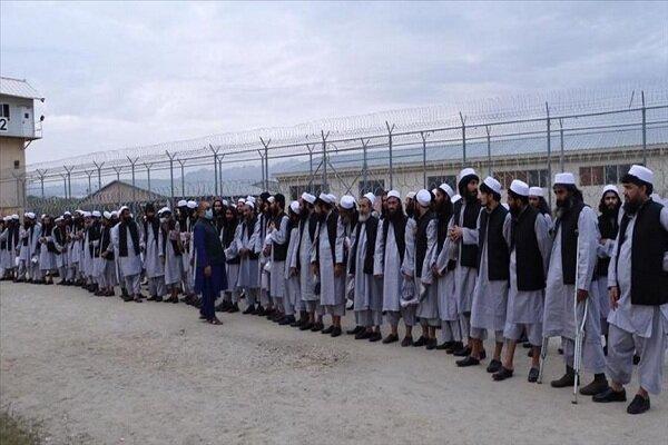 کابل 7 زندانی طالبان را به قطر منتقل می نماید