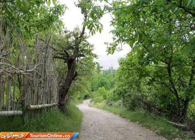 راستا دسترسی به روستای گریوان بجنورد بهسازی شد