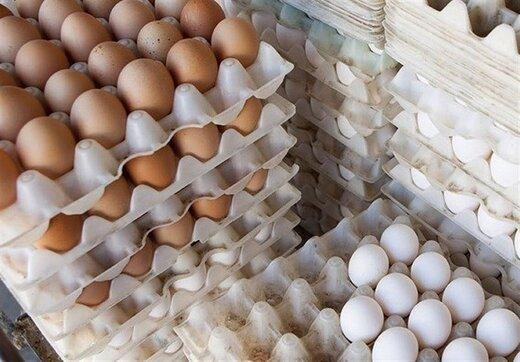 بی اعتنایی خرده فرشی ها به قیمت مصوب تخم مرغ