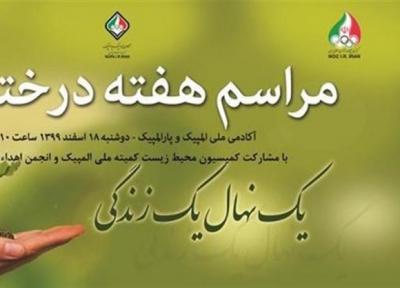 18 اسفند؛ آیین گرامیداشت هفته درختکاری در آموزشگاه ملی المپیک