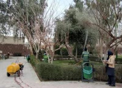 تکمیل پرونده های گیاه پزشکی بیش از 200 درخت کهنسال و 400 درخت احتیاج به توجه