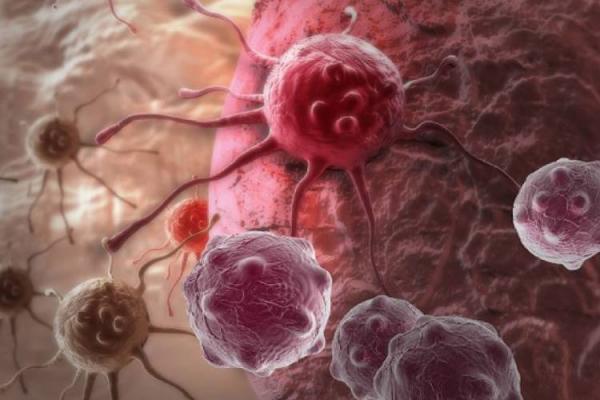 انتقال دارو به تومورهای سرطانی بدون آسیب به سلول های طبیعی