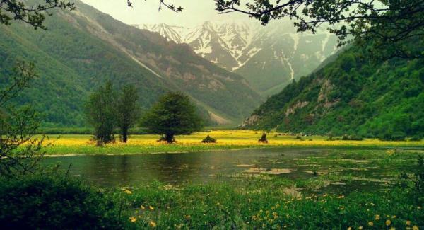 جنگل های دوهزار سه هزار ، زیبایی های پنهان شمال ایران جنگل های دوهزار سه هزار ، زیبایی های پنهان شمال ایران