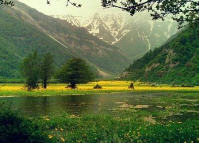 جنگل های دوهزار سه هزار ، زیبایی های پنهان شمال ایران
